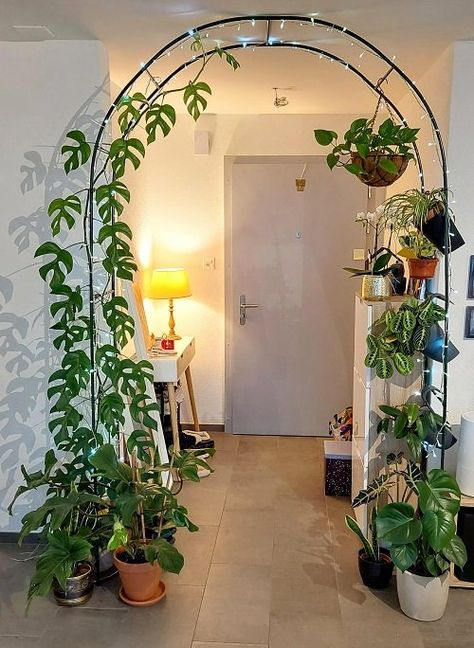 Wall Hanging Decorations, Indoor Plant Wall, Plant Care Houseplant, Hanging Plant Wall, Plants Wall, Inside Plants, Plant Decor Indoor, Room Deco, House Plants Decor