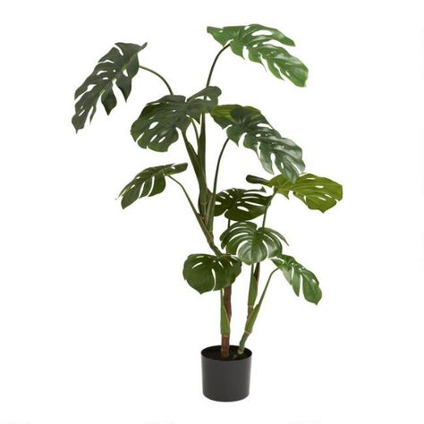 MONSTERA PLANT | World Market Support Pour Plante, Fake Trees, Artificial Potted Plants, Faux Leaf, Faux Tree, Monstera Plant, Decor Pillows, Monstera Deliciosa, Artificial Tree