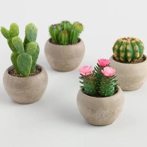 Fake Cactus, Kaktus Dan Sukulen, Artificial Cactus, Faux Cactus, Pots Set, Making Plant Pots, Indoor Cactus, Fake Plants Decor, Flower Pot Design