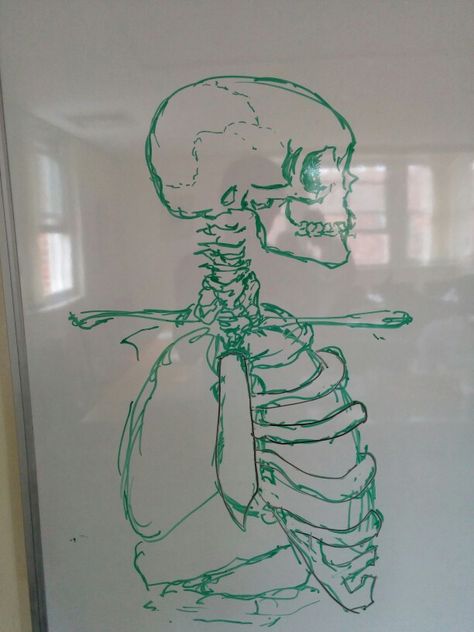 Whiteboard skeleton doodle artwork Whiteboard Marker Art, Marker Board Drawings, Art On Whiteboard, Whiteboard Drawings Ideas, Drawing Ideas Whiteboard, Cool Whiteboard Drawings, White Board Art Drawings, Aesthetic Whiteboard Drawings, White Board Drawings Whiteboard