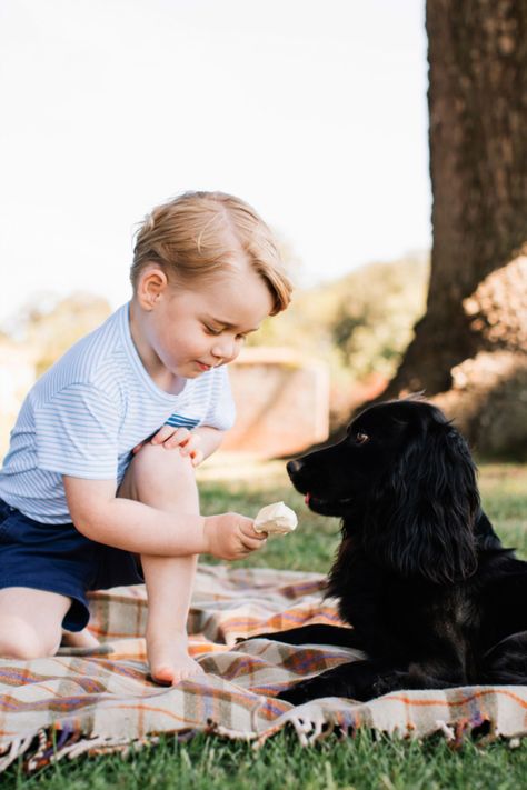 Prince George Photos, 2016 Instagram, Prince William Family, Prince William Et Kate, Prince George Alexander Louis, Principe William, French Baby Names, Happy Week End, British Royal Families