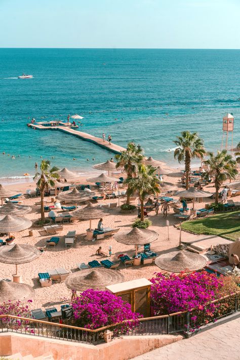 12 Best Things to Do in Sharm El Sheikh, Egypt Beach Holiday Destinations, Sharm El Sheikh Egypt, Red Sea Diving, Egypt Resorts, Places In Egypt, Egypt Aesthetic, Best Scuba Diving, The Red Sea, Visit Egypt