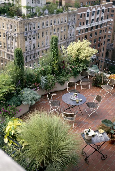 Rooftop Decor, Urban Gardening Balcony, Sf House, Rooftop Patio Design, Rooftop Dining, Roof Garden Design, Terrace Garden Design, Rooftop Terrace Design, Rooftop Design