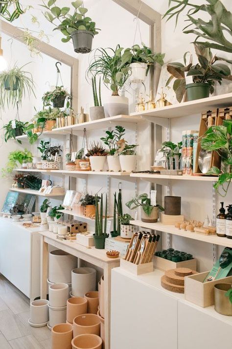 a0833c8a1817526ac555f8d67727caf6 Plant Boutique, Plant Studio, Plantas Interior, Flower Shop Interiors, Flower Shop Design, Plant Room, Nice Pic, Plant Shop, Florist Shop