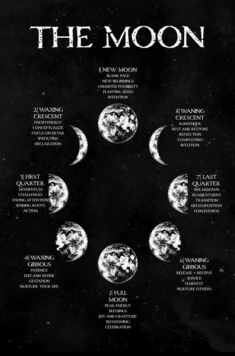 Moon Chart, Moon Reading, Full Moon Ritual, Moon Witch, Lunar Calendar, Phases Of The Moon, Moon Cycles, Moon Signs, Moon Magic