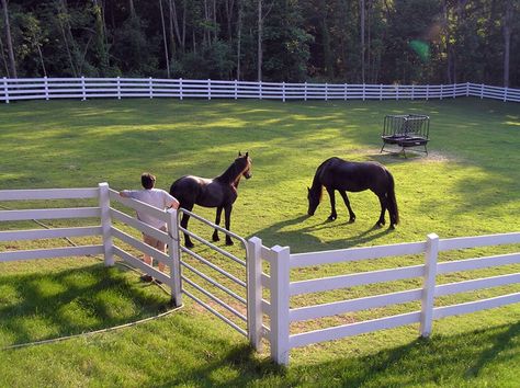 Horse Pasture Ideas Fencing, Paddocks For Horses, Horse Stable Ideas, Horse Paddocks, Beautiful Farms, Horse Field, Equine Vet, Pipe Fence, Horse Pasture