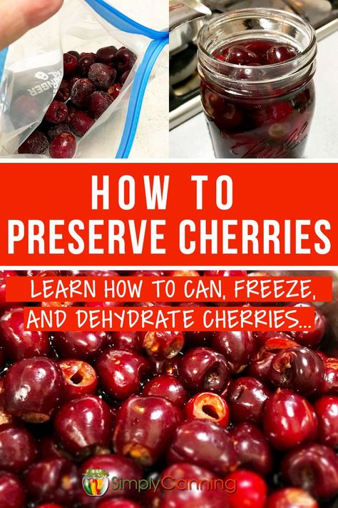 Preserving Cherries Preserving Cherries, Can Cherries, Canning Cherries, Candied Cherries, Canned Applesauce, Canning 101, Canning Fruit, Homemade Ketchup, Homesteading Ideas