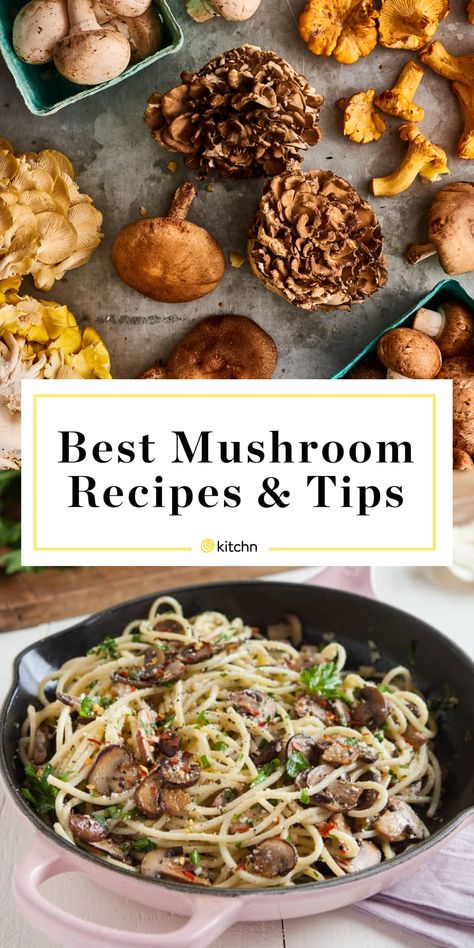 Marinated Grilled Mushrooms, Dry Mushroom Recipes, Fresh Mushrooms Recipes, Best Mushroom Recipes, Morel Mushroom Recipes, Best Mushroom Recipe, Wild Mushroom Recipes, Mushrooms Recipes, Wild Food Foraging