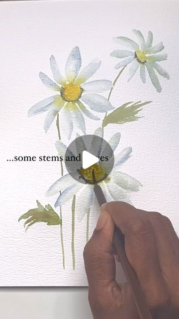 How To Paint White Flowers In Watercolor, How To Paint Daisy Flowers, Watercolor Daisy Tutorial, Watercolor White Flowers, How To Paint Daisies, Watercolour Flowers Tutorial, Daisy Watercolor Painting, Watercolour Daisy, Daisies Watercolor