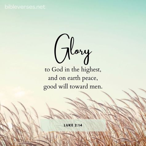 BIble - Verse, Luke 2:14 Glory To God, Bible Verses About Faith, Luke 2, Faith Scripture, Faith Bible, King James Version, King James, Encouragement Quotes, On Earth