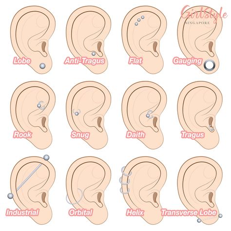 Ear Piercing Spots, Least Painful Piercings, Conch Ear Piercing, New Ear Piercing, Orbital Piercing, Snug Piercing, Ear Piercings Chart, Piercing Chart, Double Ear Piercings