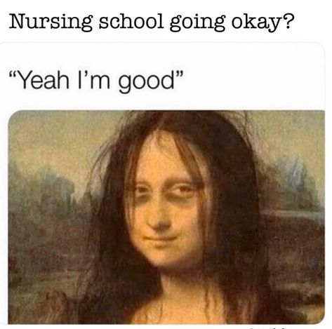 29 Nurse Memes Not Only Nurses Will Understand - Funny Gallery Mona Lisa Parody, Nursing Memes, Parenting Memes, Jokes In Hindi, Lauren Jauregui, Silly Jokes, Twisted Humor, Hot Mess, Komik Internet Fenomenleri