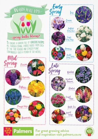 Bulb Blooming Chart, Bulb Gardens Ideas, Bulb Layering Gardens, Layering Bulbs In Pots, Lasagna Planting Bulbs, Flower Bulbs To Plant In Spring, Bulb Lasagne Combinations, Bulb Garden Design Layout, Bulb Planting Ideas