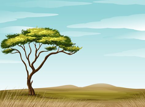 Savannah Landscape, Scene Drawing, Landscape Drawings, Landscape Illustration, Color Pencil Art, New Backgrounds, Landscape Trees, Outdoor Landscaping, Art Drawings Simple