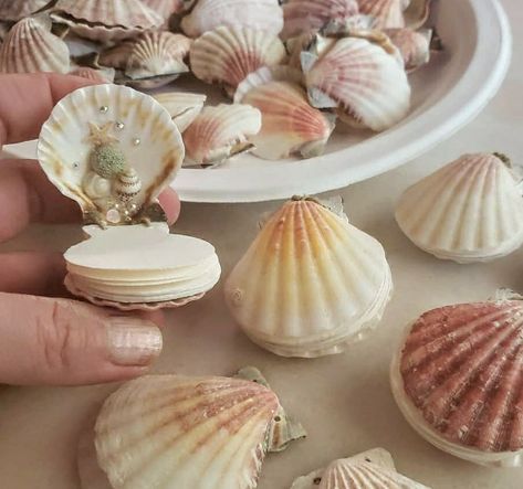 Shell book, seashells Stuff To Do With Seashells, Shell Cleaning, Paint Cork, Shells Craft, Tiny Watercolor, Shells Diy, Shell Crafts Diy, Diy Crafts To Do, Seashell Crafts