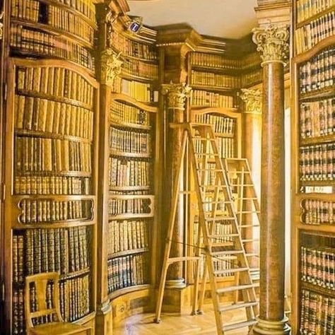 💛🌻 Yellow Library Aesthetic 💛🌻 #library #yellowlibrary Gold Library Aesthetic, Yellow Library, Golden Library, Gold Library, Pretty Library, Aesthetic Library, Library Aesthetic, Dark Academia Aesthetic, Academia Aesthetic