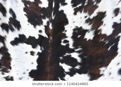 Fur Texture Images, Stock Photos & Vectors | Shutterstock Western Prints Pattern, Cow Hyde, Watch Backgrounds, Fur Background, Cow Print Wallpaper, Cats Art Drawing, Cowhide Print, Widget Icons, Fur Texture