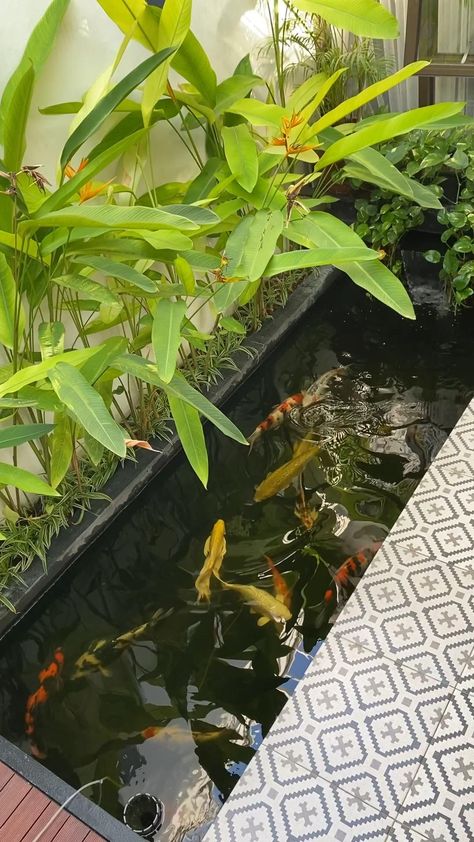 Small Backyard Garden, Fish Ponds Backyard, Small Backyard Garden Design, Koi Pond Design, Indoor Pond, Kolam Koi, Fish Pond Gardens, Garden Pond Design, Terrace Garden Design