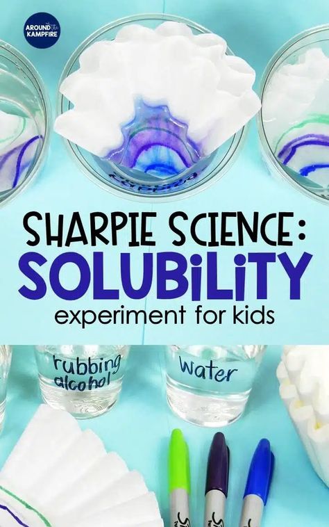 Sharpie solubility experiment for kids- An fun dissolving ink science experiment for elementary students learning about scientific processes and the scientific method. An engaging science activity for first, second, third and fourth grade classrooms and homeschool. Vetenskapliga Experiment, Science Experiments Kids Elementary, Science Experience, Science Experiment For Kids, Experiment For Kids, Summer Science, Science Experiments For Preschoolers, The Scientific Method, Kid Science