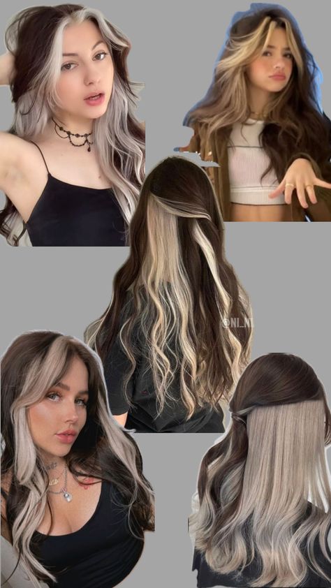 Narcissa Malfoy Hair, Malfoy Hair, Balayage Hair Brunette With Blonde, Hair Dye Videos, Hidden Hair Color, Narcissa Malfoy, Kylie Hair, Cute Hair Colors, Dyed Hair Inspiration