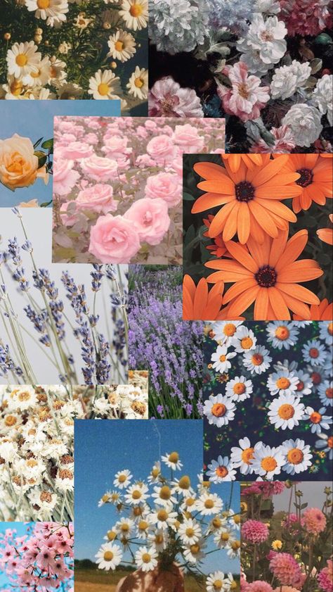 aesthetic flower collage wallpaper Flower Wallpaper Collage, Wall Collage Flowers, Nature Collage Aesthetic, Plant Collage Wallpaper, Flowers Collage Aesthetic, Flower Collage Aesthetic, Nature Collage Wallpaper, Spring Collage Wallpaper, Spring Aesthetic Collage