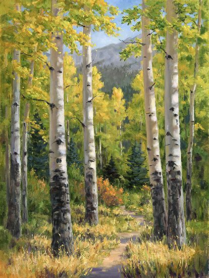 자작나무 그림, Aspen Trees Painting, Oil Painting Pictures, Birch Tree Art, Oil Painting Nature, Forest Painting, Birch Trees, Oil Painting Portrait, Autumn Scenery