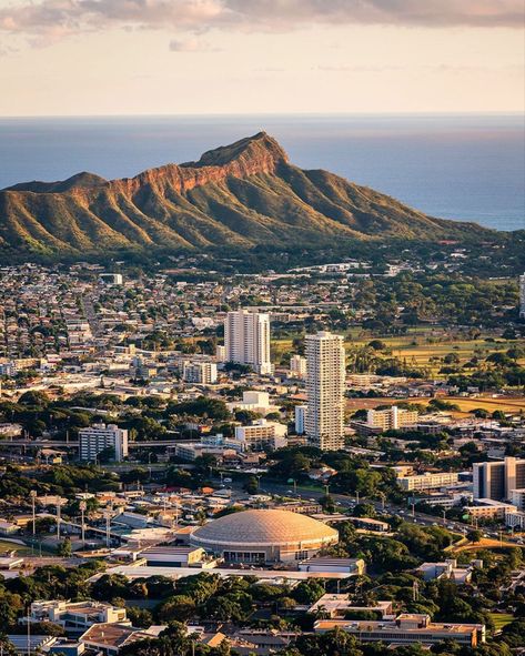 Beyond Paradise, New York Sightseeing, Honolulu City, City Life Aesthetic, Vacations In The Us, Honolulu Waikiki, File Manager, Honolulu Oahu, Photography City