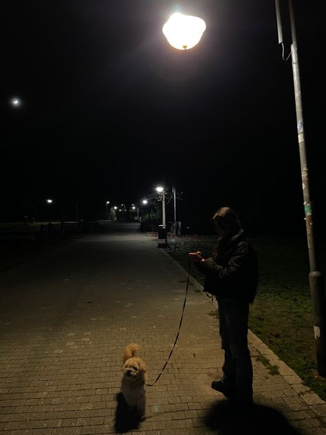 Walk | dog | animal | night | late night | dark | park | sky | stars | maltipoo | girl | aesthetic | vibe Dog Night Aesthetic, Walk Dog Aesthetic, Dog Aesthetic Dark, Dog Walk Aesthetic, Dog Walking Aesthetic, Dr Items, Night Dog Walking, Night Walking Aesthetic, Night Park