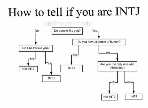 Intj And Enfp Relationship, Intj Intp Relationships, Intj Enfp Relationship, Intj X Istp, Intj And Enfp, Enfp X Intj, Enfp Intj, Intj Humor, Intj Enfp