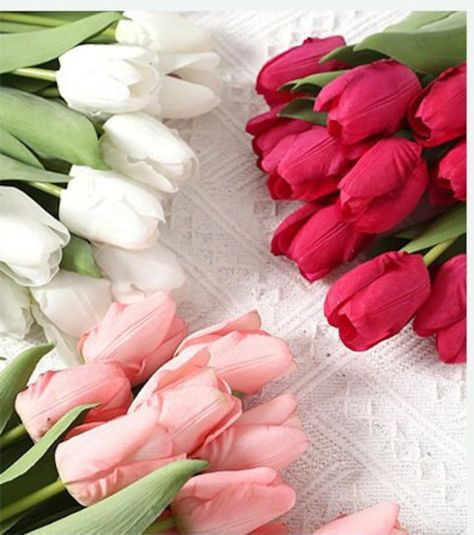 "Our Artificial Real Touch Tulip Flower with Stem is a versatile and stunning decorative option for weddings, office, home, parties, and hotels. Made from high-quality materials, these tulip flowers feature realistic textures and vibrant colors that will bring beauty and elegance to any space. The flowers are designed to look and feel just like the real thing, thanks to the Real Touch technology used in their creation. The soft, velvety texture of the petals and bendable  stem make these flowers Tulip Colors, Easter Spring Wreath, Home Parties, Silk Floral Arrangements, Tulip Flower, Office Hotel, Flower Phone Wallpaper, Pretty Plants, Baby Shower Cards