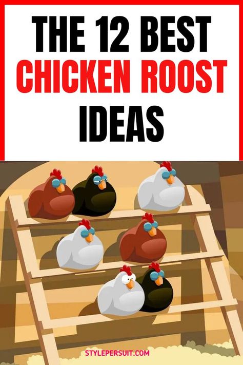 Creating a comfortable and functional roosting area is essential for the health and happiness of your chickens. Here are 12 fantastic chicken roost ideas that your flock will adore: Chicken Roost Ideas, Chicken Roost, Meat Birds, Old Wicker, Chicken Pen, Chicken Owner, Backyard Chicken Farming, Beautiful Chickens, Backyard Flocks