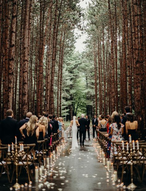 Forest Green Wedding, Twilight Wedding, Forest Theme Wedding, Torch Lake, Enchanted Forest Wedding, Stil Boho, Future Wedding Plans, Lake Wedding, Wedding Aisle