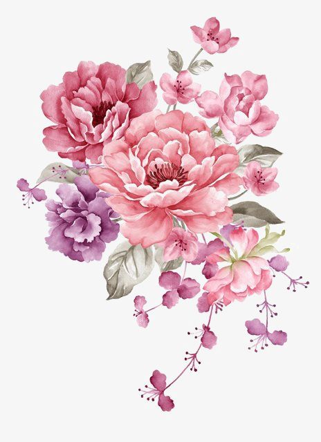 Material Flowers, Pink Watercolor Flower, 수채화 그림, Lukisan Cat Air, Digital Flowers, Alam Semula Jadi, Arte Floral, Pink Watercolor, Art Floral