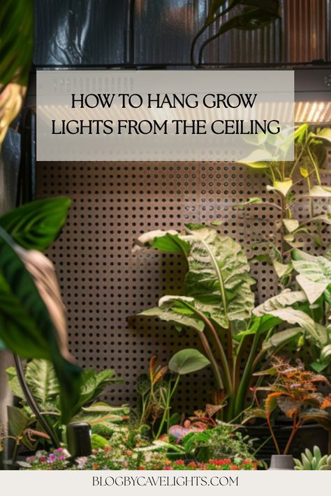 🌿 Elevate your indoor garden lighting game! Discover step-by-step tips on how to hang grow lights from your ceiling for thriving houseplants. Click to read more! 🌱 Hanging Grow Lights Indoor, Grow Light Set Up, Hanging Grow Light, Grow Lights For Houseplants, Indoor Plant Display, Plant Lights, Grow Room, Grow Lights For Plants, Grow Tent