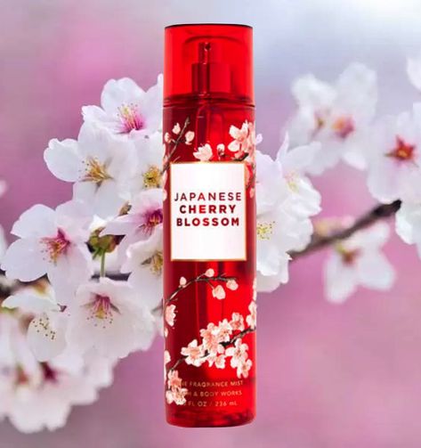 Cherry Blossom Perfumes Blossom Perfume, Cherry Blooms, Blossom Season, Discount Design, Perfume Collection Fragrance, Cherry Blossom Season, Japanese Cherry Blossom, Perfume Collection, Fragrance Mist