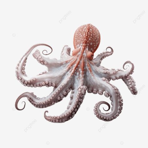 octopus full body clear details 4k real view 3d clipart animal png Real Octopus, Animal Png, United States Map, Transparent Image, Fashion Project, Animal Clipart, Png Transparent, Octopus, Full Body