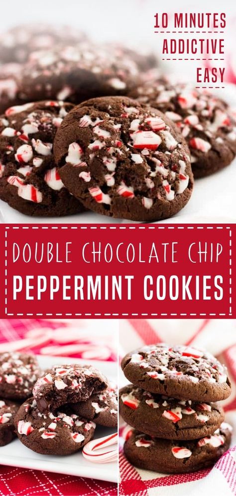 Easy Chocolate Peppermint Cookies, Peppermint Cocoa Cookies, Chocolate Cookies With Peppermint Chips, Hot Cocoa Peppermint Cookies, Hot Coco Cookies Recipes, Dark Chocolate Peppermint Cookies, Crushed Peppermint Cookies, Hot Chocolate Peppermint Cookies, Cookies With Crushed Candy Canes