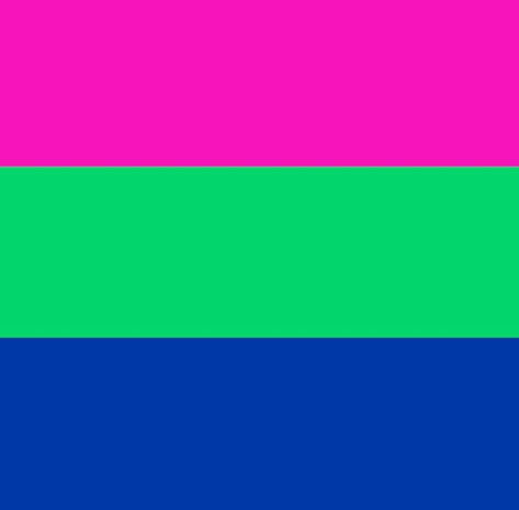 Poly Flag Aesthetic, Polysexual Flag, Poly Flag, Cat Gender, Flag Maker, Lgbtq Quotes, Black Deck, Angel Theme, Gay Rights