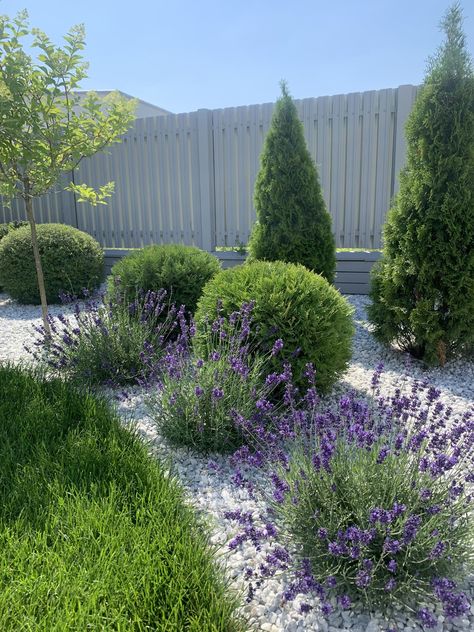 Eye-catching Landscaping Inspirations with Lavenders Dream Garden Backyards, River Rock Garden, Front Lawn Landscaping, Front Garden Landscape, Front Yard Garden Design, Fall Garden Vegetables, Modern Garden Design, Have Inspiration, Outdoor Gardens Design