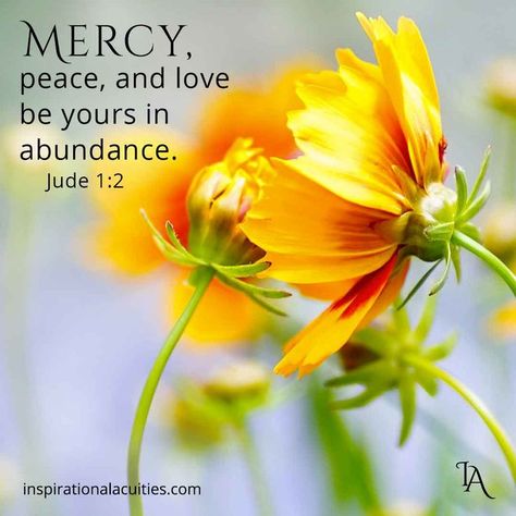 Jude 1:2 Mercy, peace, and love be yours in abundance. - Bible Verse Graphics - Inspirational Acuities Divine Inspiration And Prayers, The Idealist Quotes, Abundance Images, God Power, Grow Closer To God, Floral Bible Verse, A Bible Verse, Good Morning Inspiration, Sacred Scripture