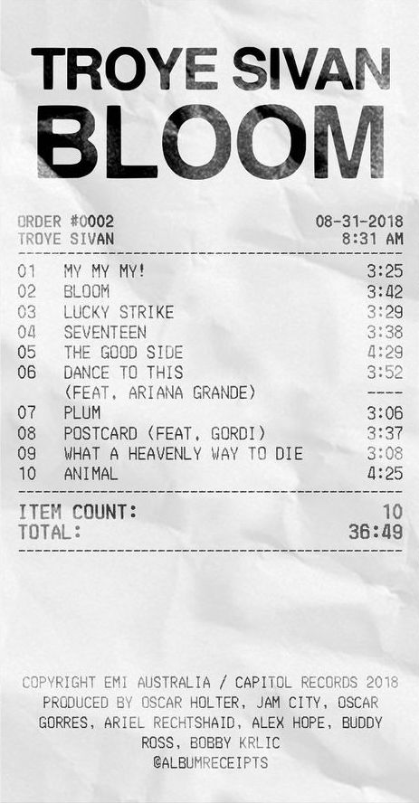 Receipt Music, Svt Album Receipt, Song Receipt, Troye Sivan Poster, Enhypen Music Receipt, Troye Sivan Lyrics Wallpaper, Troye Sivan Songs, Music Study, Apartment Decoration