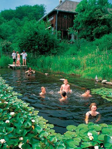 Natural Swimming Ponds, Green Pool, Swimming Pond, Natural Pond, Natural Swimming Pools, Natural Swimming Pool, Dream Pools, Ponds Backyard, Natural Pool