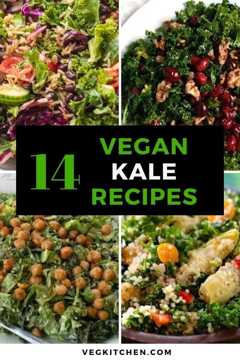 Mexican Kale Salad Recipes, Vegan Kale Recipes Healthy, Vegan Kale Recipes, Cranberry Kale Salad, Kale Snacks, Vegan Kale Salad, Kale Recipes Healthy, Salads Vegan, Vegan Avocado Recipes