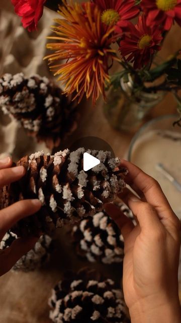 Sibia Torres Padilla | DIYs on Instagram: "Making your own snow flocked pinecones is easier than it seems and you probably have everything you need. 

You’ll want to gather your pinecones and set them aside
Make a simple flour paste by combining equal parts water and flour

Add the paste to your pinecones with a small paintbrush and sprinkle on (or dip in) salt. 
you can use whatever salt you have on hand but I used Epson salts because I have a whole bag and I think they look really pretty and shiny
this will give it a glittery effect in place of glitter 
leave them out to dry for a few hours and then use them however you would snow flocked pinecones in your decor. 

These will last until Christmas although a bit salt falling off is quite normal and easy to clean up. 
After you are done wi Flocked Pinecones, Pinecone Crafts, Epson Salt, Snow Flock, Pine Cone Crafts, Winter Crafts, Pine Cones, Holidays And Events, Need You