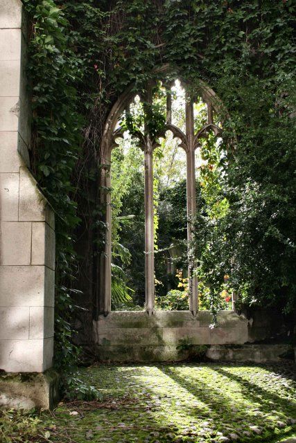 this would be a wonderful place to seek solitude Green Academia, Gothic Garden, Dark Green Aesthetic, Slytherin Aesthetic, Abandoned House, Big Garden, The Secret Garden, Academia Aesthetic, Old Building