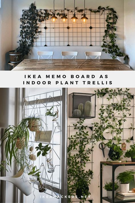 An IKEA item that's surprisingly good for indoor climbing plants. IKEA memo boards work so well as an indoor plant trellis. Record And Plant Wall, Ikea Living Wall, Ikea Memo Board Ideas, Ikea Wall Plant Ideas, Plant Wall Dining Room Ideas, Indoor Trellis Wall Decor, Ikea Plant Wall Hack, Workspace With Plants, Diy Wall Trellis Indoor