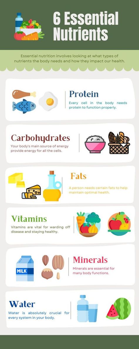 6 Essential Nutrients 6 Essential Nutrients, Stomach Fat Burning Foods, Healthy Nutrition Plan, Nutrition Chart, 120 Pounds, Sustainable Seafood, Best Fat Burning Foods, Essential Nutrients, Nutrition Plans