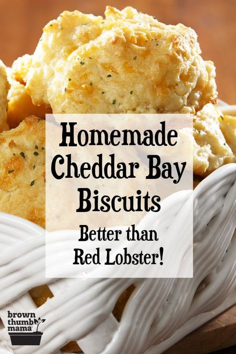 Copycat Red Lobster, Homemade Biscuit, Red Lobster Cheddar Bay Biscuits, Red Lobster Biscuits, Cheddar Bay Biscuits, Cheddar Biscuits, Biscuit Mix, Homemade Biscuits, Red Lobster