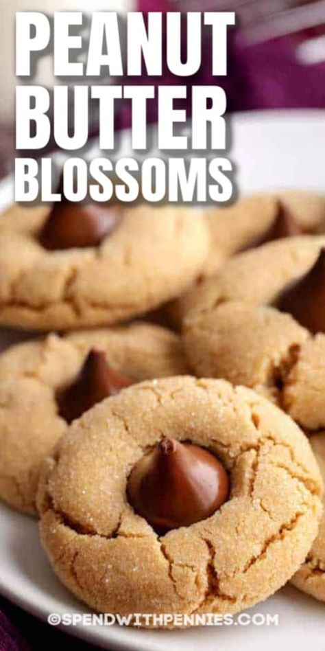 Sweet and a little salty, these perfectly crumbly Peanut Butter Blossoms are incredibly easy to make! #spendwithpennies #peanutbutter #pb #peanutbutterblossoms #cookies #cookierecipe Peanut Butter Blossoms Recipe, Peanut Butter Blossom, Butter Blossoms, Soft Peanut Butter Cookies, Peanut Butter Blossom Cookies, Classic Cookies Recipes, Homemade Snickers, Chewy Peanut Butter Cookies, Blossom Cookies