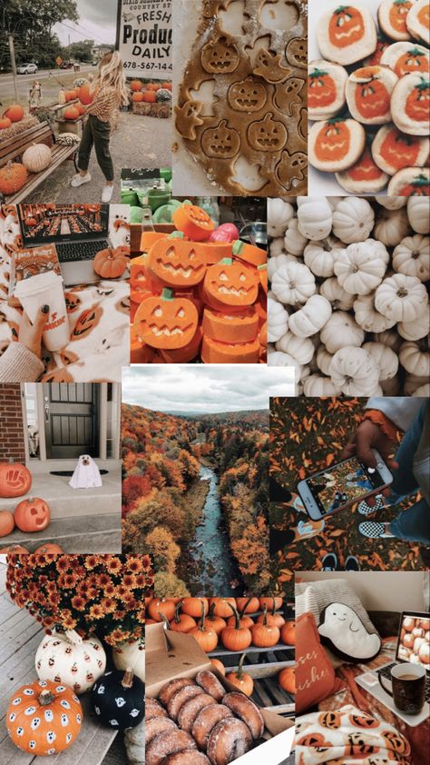 Iphone Fall Aesthetic Wallpaper, Fall Collages Wallpaper, Preppy Fall Wallpaper Collage, Fall Wallpaper Aesthetic Iphone Simple, October Iphone Wallpaper Aesthetic, Orange Fall Aesthetic Wallpaper, Fall Wallpaper Aesthetic Collage, Cute Wallpapers For Fall, Preppy Fall Wallpaper Iphone